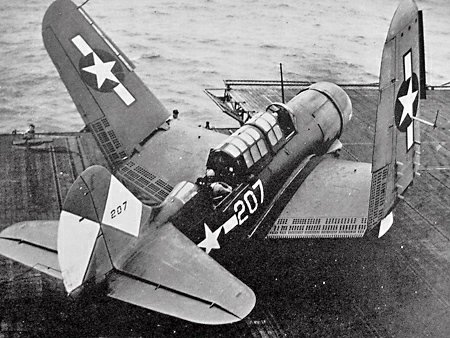 Helldiver with Folded Wings